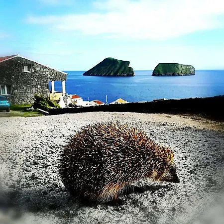 Breathe Nature Beach House Azores *